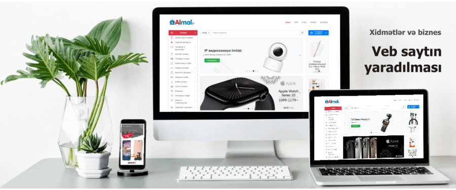 Veb saytın yaradılması