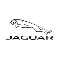 Jaguar Jaguar