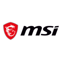 MSI