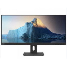 Монитор 29" Lenovo ThinkVision E29w-20 (62CEGAT3EU-N)