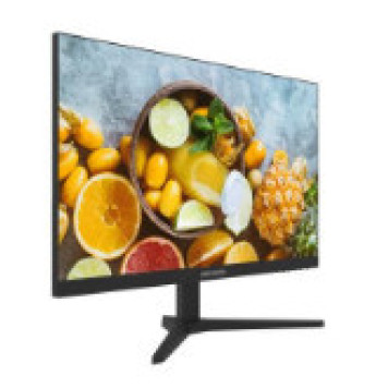 Monitor Hikvision DS-D5024FN10-1