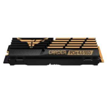 Sərt disk SSD M.2 2280 1TB Team Group T-FORCE CARDEA A440 Pro-1