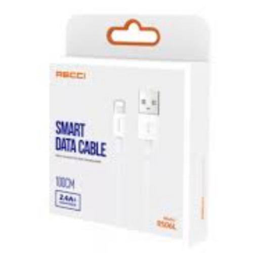 Kabel Recci RS06L 1m
