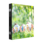 Светодиодный экран Hikvision DS-D4225FO-BGF