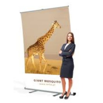 Roll-Up 200x300 см-1