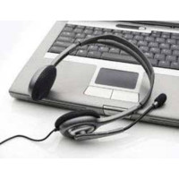 Qulaqlıq-qarnitur Logitech H111 (981-000593), Silver