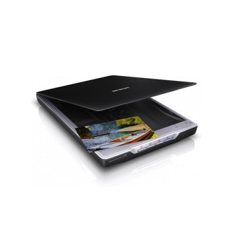 Skaner Epson Flatbed Scanner Perfection V19-2