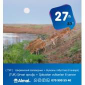 TUR  в  Şirvan qoruğu + Qobustan vulkanları 8 yanvar
